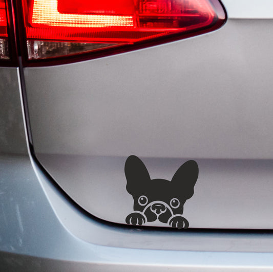 French Bulldog Frenchie | Car Sticker
